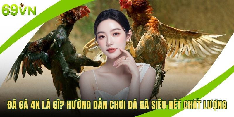 Đá gà 4K