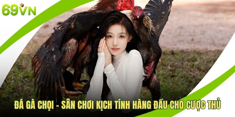 Đá gà chọi