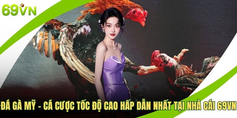 Đá gà mỹ