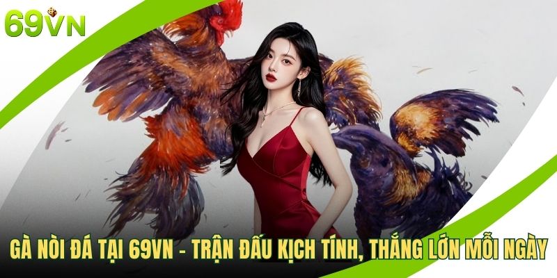 Gà nòi đá