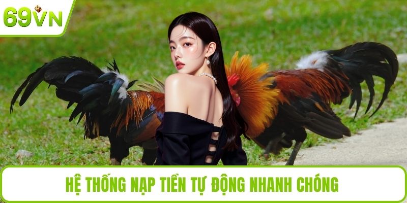 Trang Đá Gà Uy Tín Tại 69VN – Cá Cược An Toàn, Thắng Lớn Hệ thống nạp tiền tự động nhanh chóng