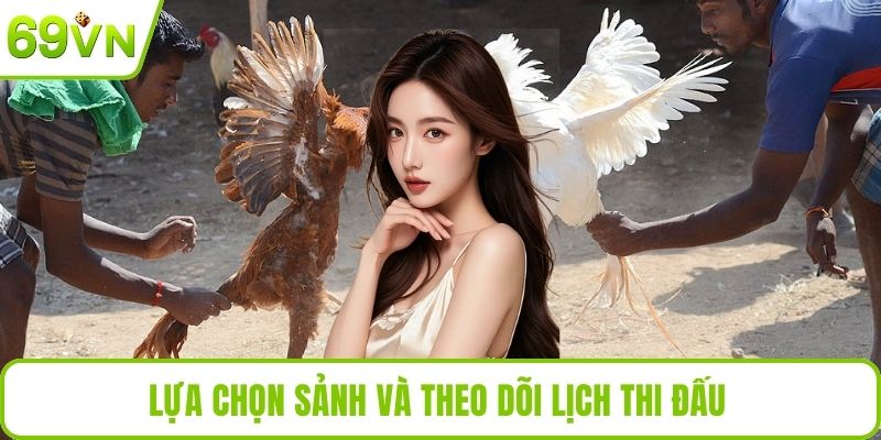 Đá Gà Mỹ – Cá Cược Tốc Độ Cao Hấp Dẫn Nhất Tại Nhà Cái 69VN Lựa chọn sảnh và theo dõi lịch thi đấu