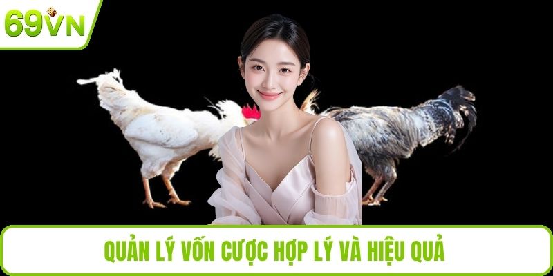 Gà Nòi Đá Tại 69VN – Trận Đấu Kịch Tính, Thắng Lớn Mỗi Ngày Quản lý vốn cược hợp lý và hiệu quả