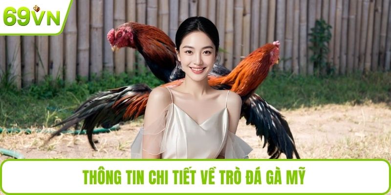 Đá Gà Mỹ – Cá Cược Tốc Độ Cao Hấp Dẫn Nhất Tại Nhà Cái 69VN Thông tin chi tiết về trò đá gà mỹ