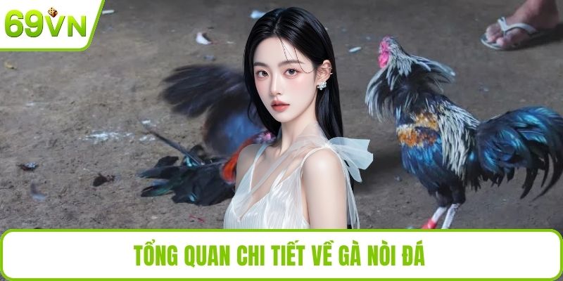 Gà Nòi Đá Tại 69VN – Trận Đấu Kịch Tính, Thắng Lớn Mỗi Ngày Tổng quan chi tiết về gà nòi đá