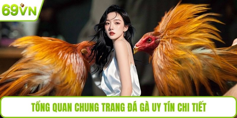 Trang Đá Gà Uy Tín Tại 69VN – Cá Cược An Toàn, Thắng Lớn Tổng quan chung trang đá gà uy tín chi tiết