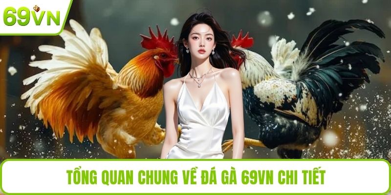Tổng quan chung về đá gà 69VN chi tiết