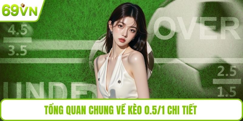 Kèo 0.5/1 Là Gì? Hướng Dẫn Soi Kèo Dễ Hiểu Nhất Hiện Nay Tổng quan chung về kèo 0.5/1 chi tiết