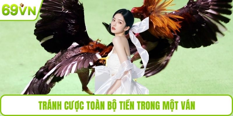 Đá Gà 4K Là Gì? Hướng Dẫn Chơi Đá Gà Siêu Nét Chất Lượng Tránh cược toàn bộ tiền trong một ván