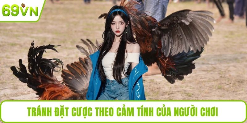 Trang Đá Gà Uy Tín Tại 69VN – Cá Cược An Toàn, Thắng Lớn Tránh đặt cược theo cảm tính của người chơi