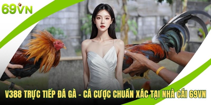 V388 trực tiếp đá gà
